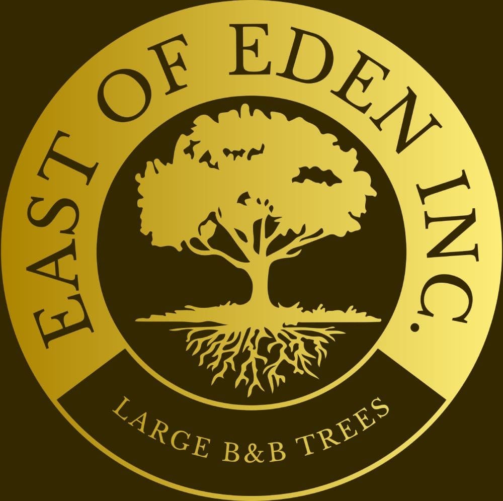 East Of Eden Inc.